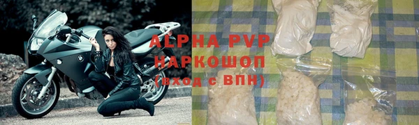 шишки Покачи