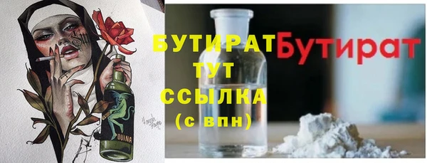 шишки Покачи