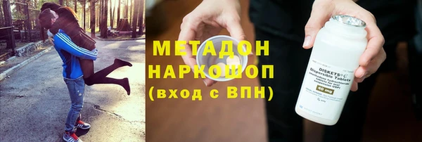 шишки Покачи
