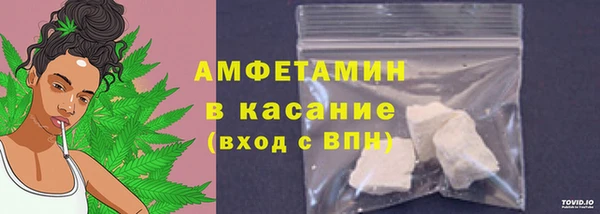шишки Покачи