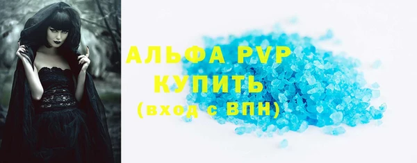 шишки Покачи