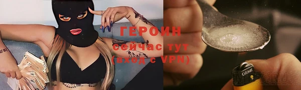 шишки Покачи